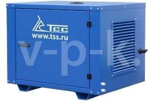 Бензиновый генератор ТСС SGG 7000ENA в погодозащитном кожухе  Бензиновый генератор ТСС SGG 7000ENA в погодозащитном кожухе  фото