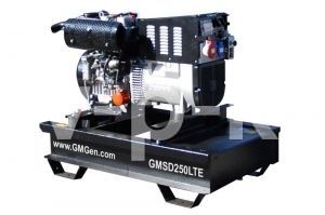 Бензиновый генератор GMGen GMSD250LTE  Бензиновый генератор GMGen GMSD250LTE  фото