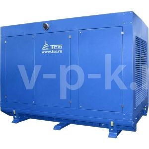 Дизельный генератор  АД-12С-230-1РМ19 в погодозащитном кожухе с АВР (двиг. TSS Diesel TDК 17 4L)