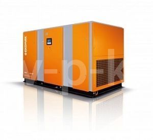 Винтовой компрессор Ekomak EKO 160CD VST 10 фото