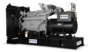 Дизельный генератор TEKSAN TJ1650MS5C  фото