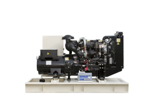 Дизельный генератор TEKSAN TJ83PE CROMPTON  Дизельный генератор TEKSAN TJ83PE CROMPTON  фото