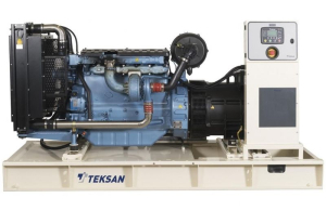 Дизельный генератор TEKSAN TJ220BD5L  фото