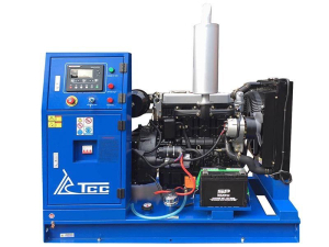 Дизельный генератор ТСС АД-20С-Т400-1РМ5 028295 стационарный Дизельный генератор ТСС АД-20С-Т400-1РМ5 028295 стационарный фото