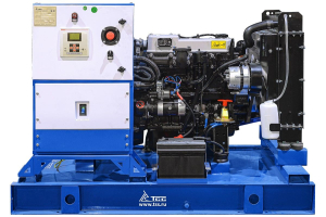 Дизельный генератор ТСС АД-16С-Т400-2РНМ5 с АВР 039354 фото