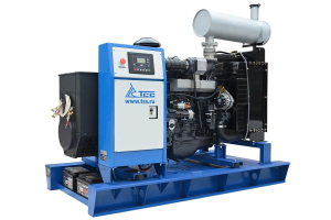 Дизельный генератор ТСС АД-50С-Т400-1РМ5 10747 Дизельный генератор ТСС АД-50С-Т400-1РМ5 10747 фото